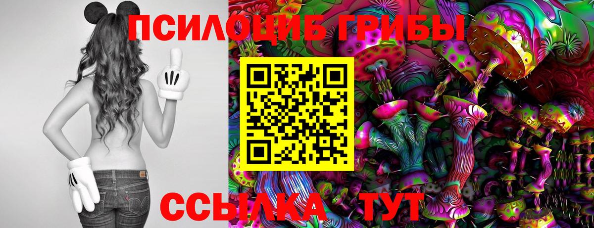 Галлюциногенные грибы Magic Shrooms  Вход с VPN  Галлюциногенные грибы Cubensis  купить наркотик  Георгиевск 