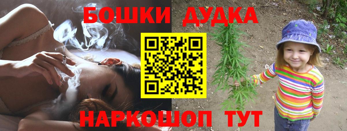 ГАШ Георгиевск